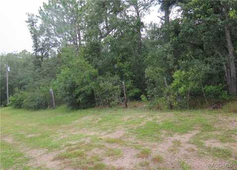 1434 W Milan Lane, Hernando, FL 34442