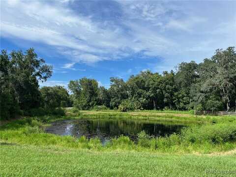 4780 S Silver Fox Terrace, Inverness, FL 34452