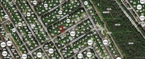 167 W Navarro Place, Citrus Springs, FL 34434