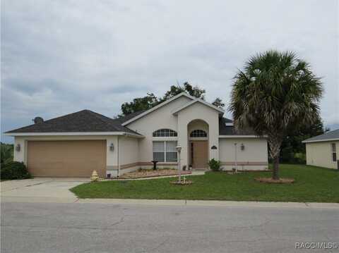 10501 S Drew Bryant Circle, Floral City, FL 34436