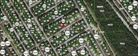 143 W Navarro Place, Citrus Springs, FL 34434