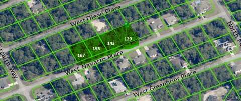 155 W Navarro Place, Citrus Springs, FL 34434