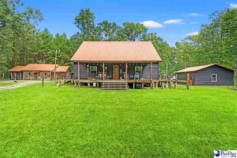 3124 Doodlebug Pl, Marion, SC 29571