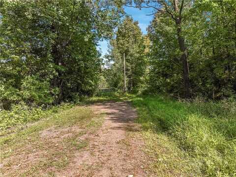 40 acres 330th Street, Boyd, WI 54726