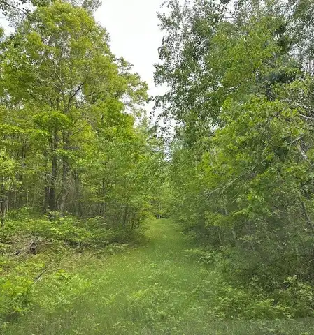 Summers Point Lane, Hayward, WI 54843