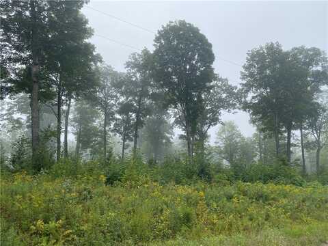 ON N Zettel Road, Exeland, WI 54835