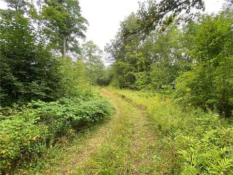 ON W County Road C, Exeland, WI 54835