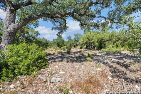 840 Earle Oak, Bulverde, TX 78163