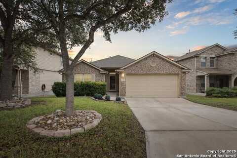 8735 Redbud Woods, San Antonio, TX 78250