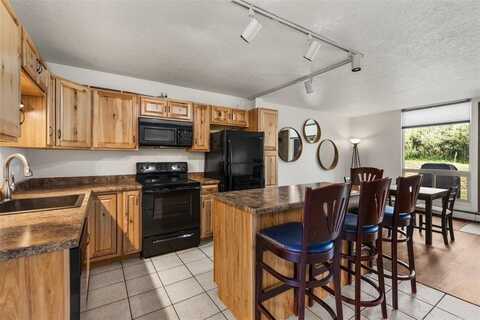 390 STRAIGHT CREEK DRIVE, Dillon, CO 80435