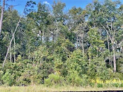 233 Bircholt Grove, Pooler, GA 31322