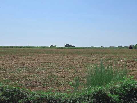 3115 Meier Road S-Tract 3, Sealy, TX 77474
