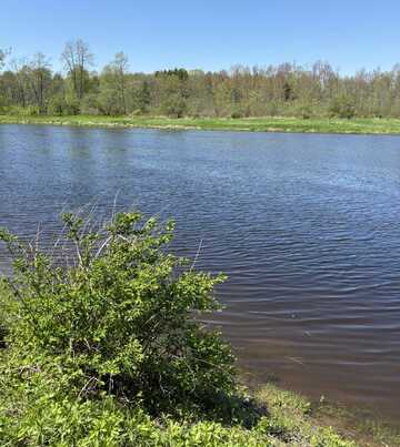 Off SH 56, Louisville, NY 13662