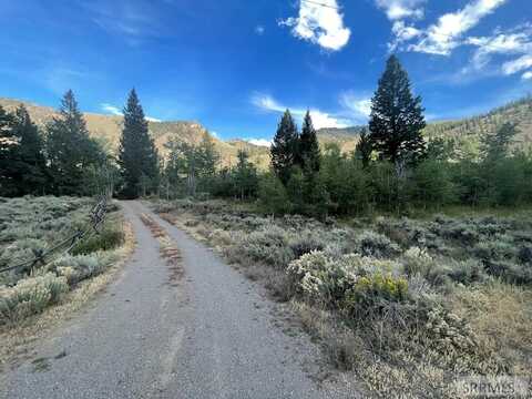 Tbd Garden Creek Road, Challis, ID 83226