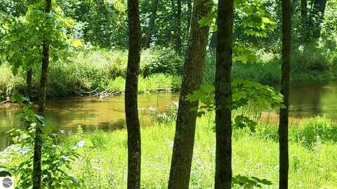 20 AC Big Four Road, Bear Lake, MI 49614