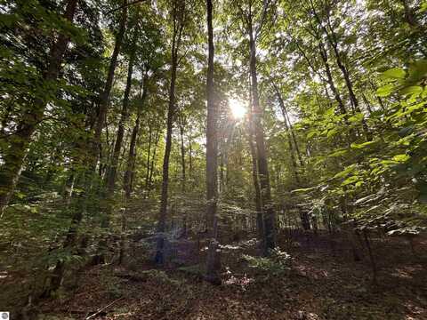 000 Langs Lane, Interlochen, MI 49643