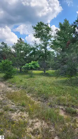 Trappers Trail, Grayling, MI 49738