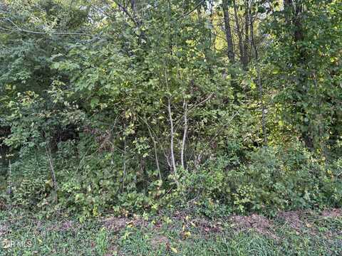 Tbd Lot 2 Hillside Drive, Elizabethton, TN 37643