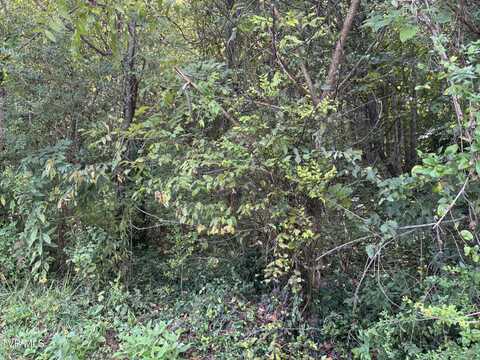 Tbd Lot 1 Hillside Drive, Elizabethton, TN 37643
