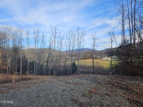 Galax Drive, Erwin, TN 37650