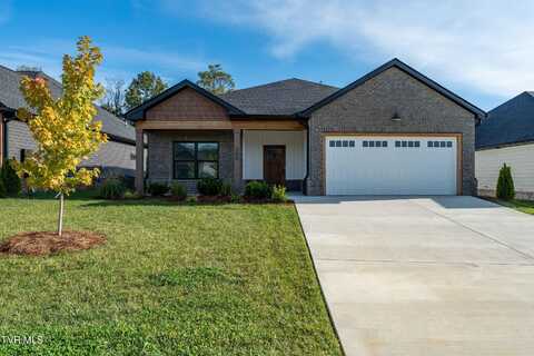 200 Dry Kiln Court, Johnson City, TN 37615