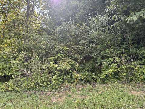 Tbd 1a Hillside Drive, Elizabethton, TN 37643