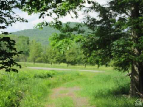 Route 23c Lot #4, Lexington, NY 12452