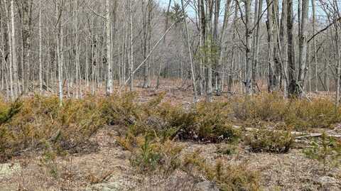 75 Windy Lane, Jewett, NY 12444