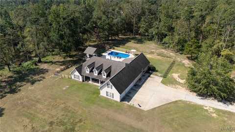15959 Seminole Trail, Northport, AL 35475