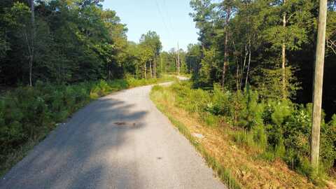 LOT 2 SHORESIDE AT SIPSEY, Double Springs, AL 35553