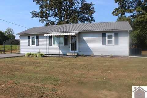 173 ST RT 381, Sedalia, KY 42079