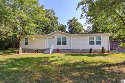 5934 Wadesboro Rd, Symsonia, KY 42082