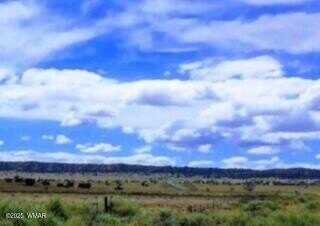 0 Bell Brand Ranches Lot 39 - 40, Chambers, AZ 86502