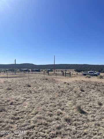 35 Lexington, Concho, AZ 85924