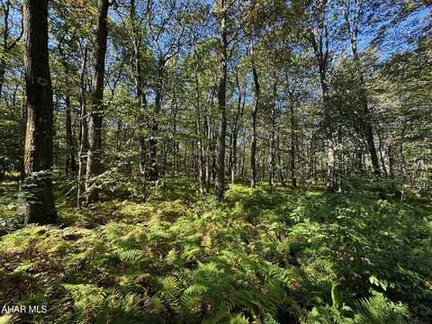 Off Grouse Lane, New Paris, PA 15554