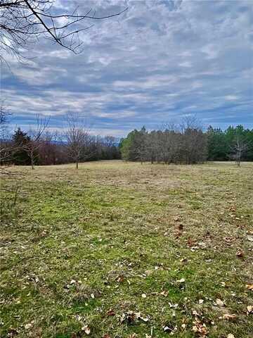 00 Gravel Hill A, Russellville, AR 72802