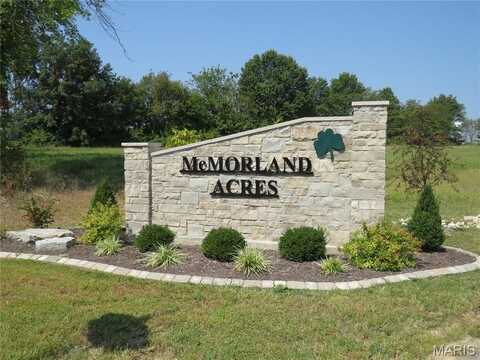 171 McMorland Drive Drive, St Paul, MO 63366
