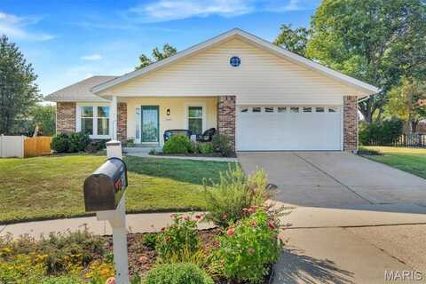 500 Treetop Trail Drive, Manchester, MO 63021