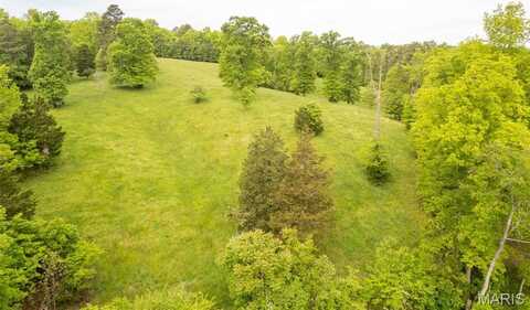 1334 Wayne 366, Piedmont, MO 63957