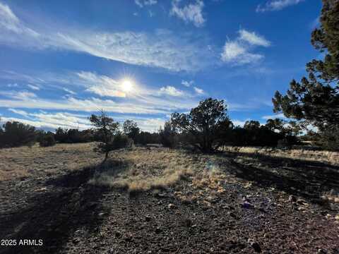 8459 Quail Run Drive, Show Low, AZ 85901