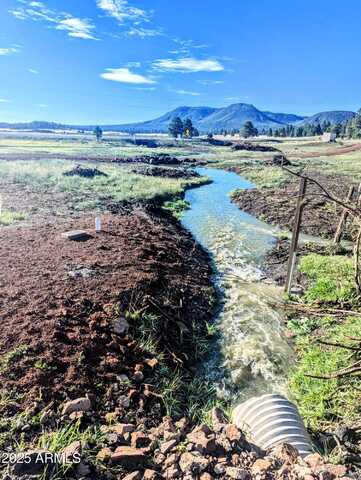 8 N COUNTY ROAD N2062 --, Alpine, AZ 85920