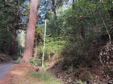 11714 Canyon Drive, Guerneville, CA 95446