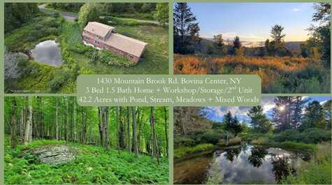 1430 Mountain Brook Road, Bovina, NY 13740