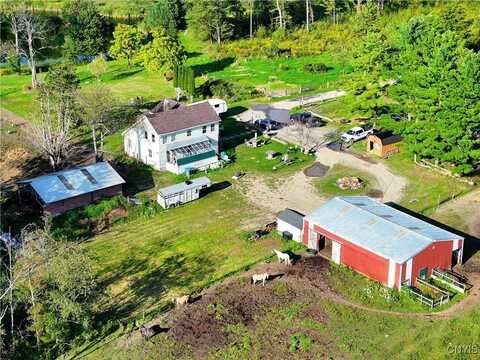 1467 Lick Street, Summerhill, NY 13118