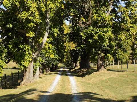 2890 Elizaville Rd, Flemingsburg, KY 41039