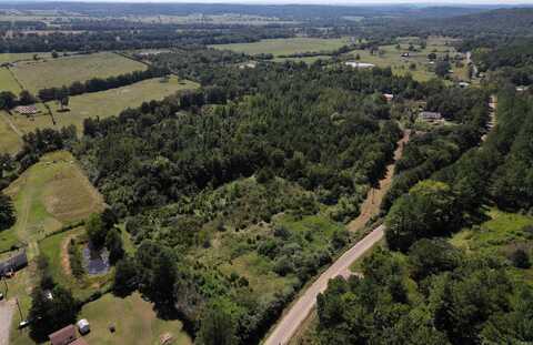 128 Smokey Road, Center Ridge, AR 72027
