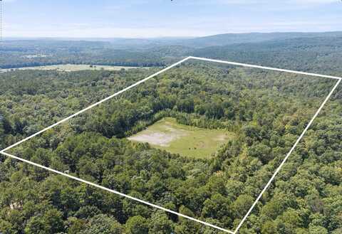 000 Granny Gap 1 Road, Dover, AR 72837