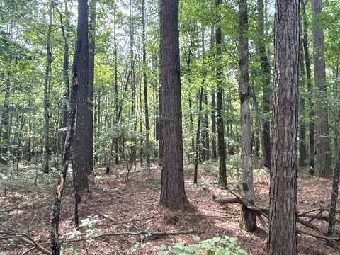 undefined, Rosston, AR 71858