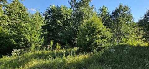 Lot 561 Bluff View Drive, Dunlap, TN 37327