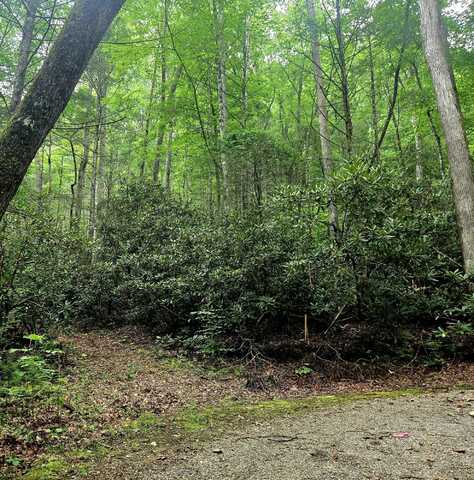 0 Holder Cemetery Road, Tellico Plains, TN 37385